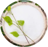 MemoVolt™ Xylitol ingredient
